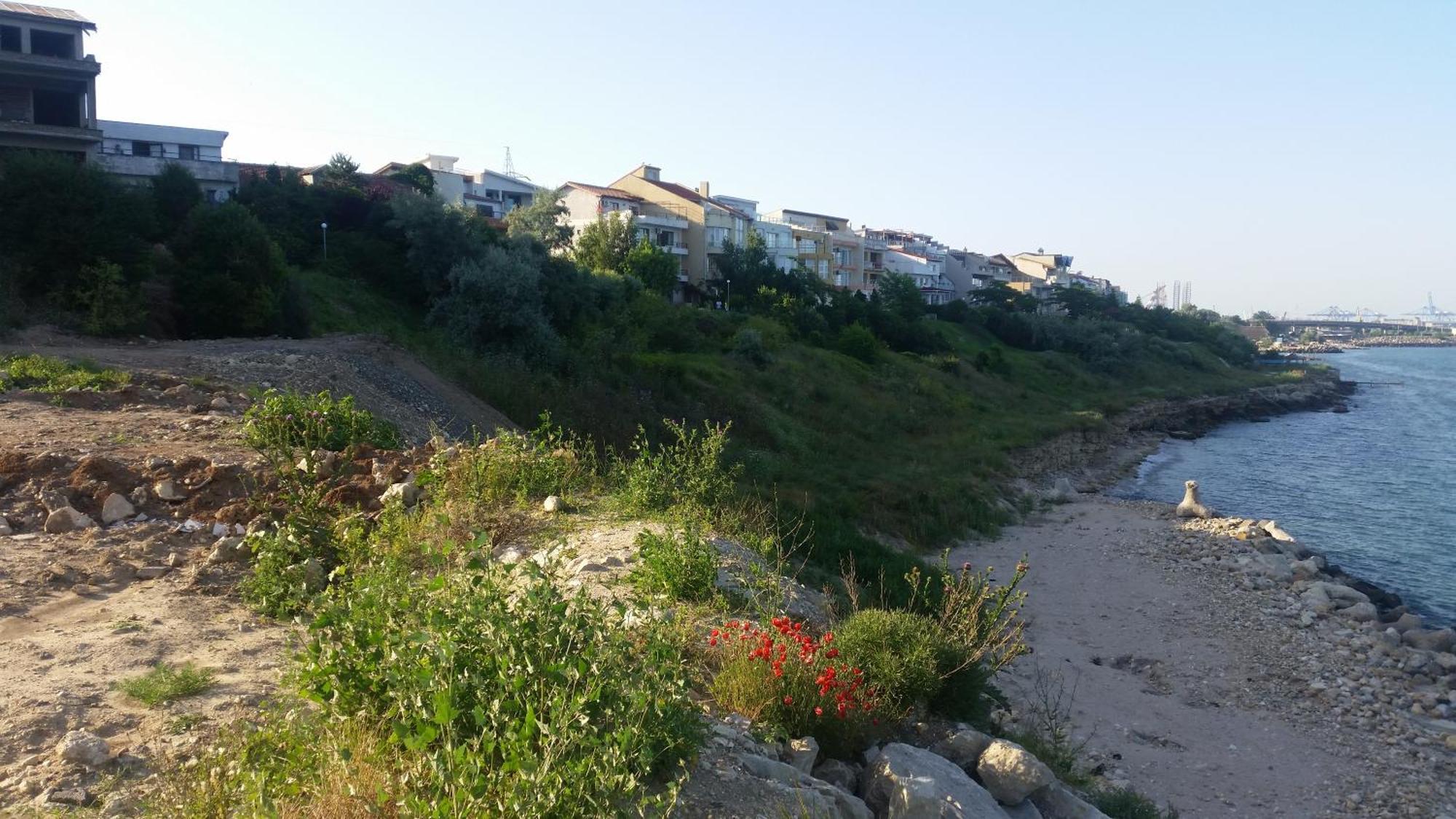 Casa Tatiana Ξενοδοχείο Eforie Nord Εξωτερικό φωτογραφία
